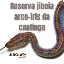 Reserva Jiboia arco-íris da...