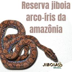 Reserva Jiboia arco-íris da...